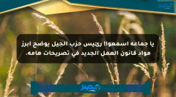 يا جماعة اسمعوا! رئيس حزب الجيل يوضح أبرز مواد قانون العمل الجديد في تصريحات هامة.